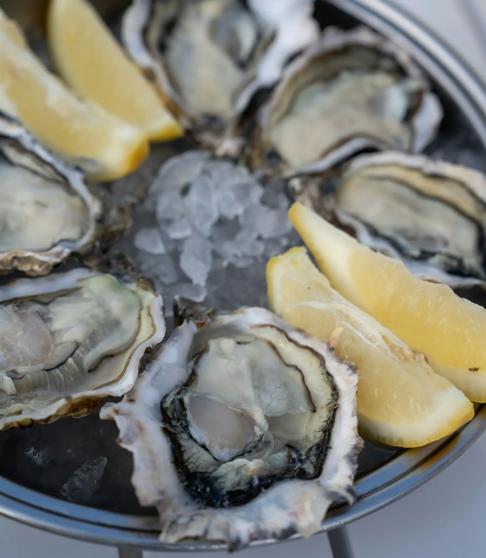 Ostras frescas con limón sobre plato
